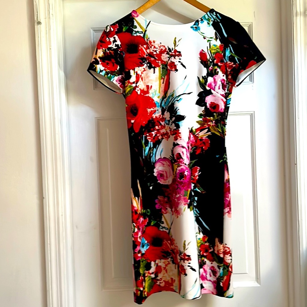 Beautiful Asian inspired dress with stretch and stunning pattern. Never worn.
